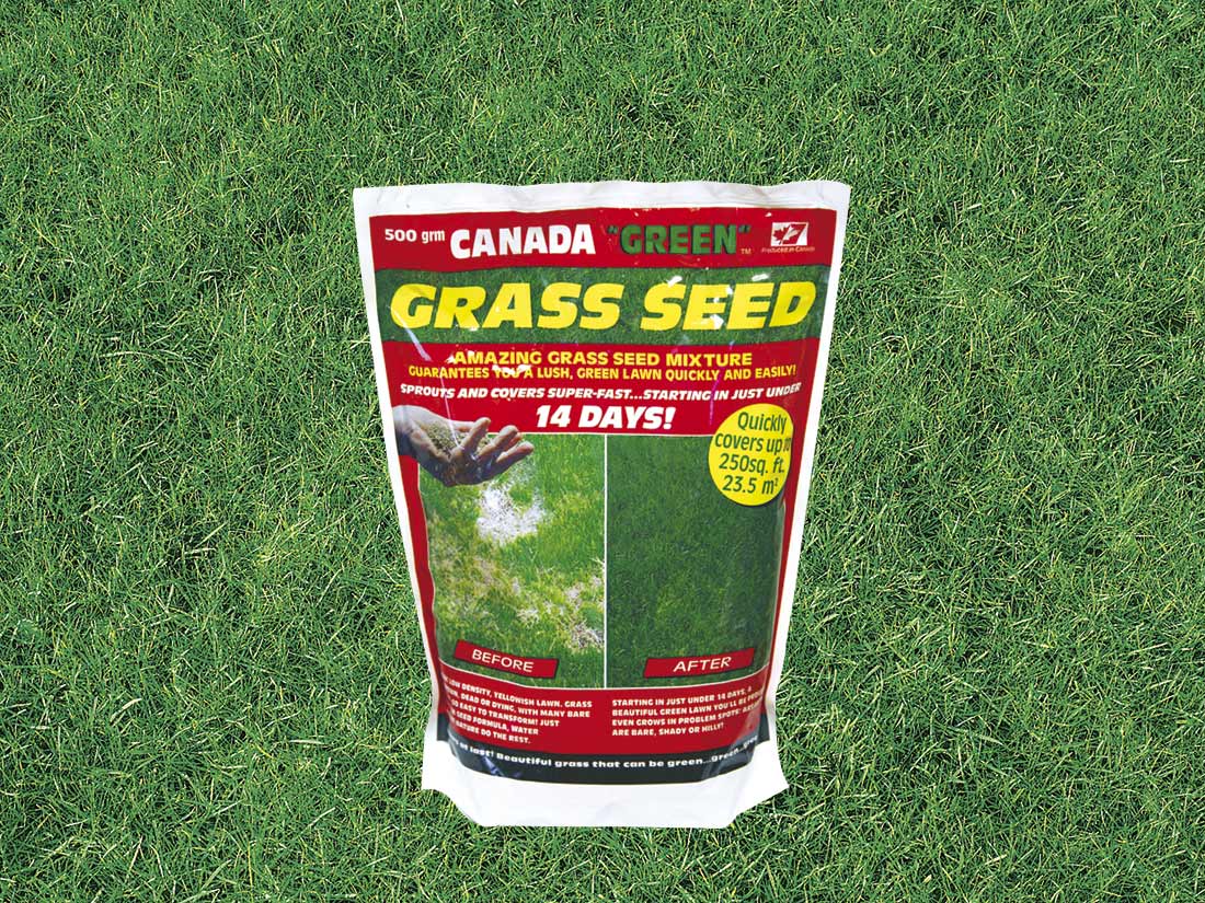 500g Canada Green Grass Seed