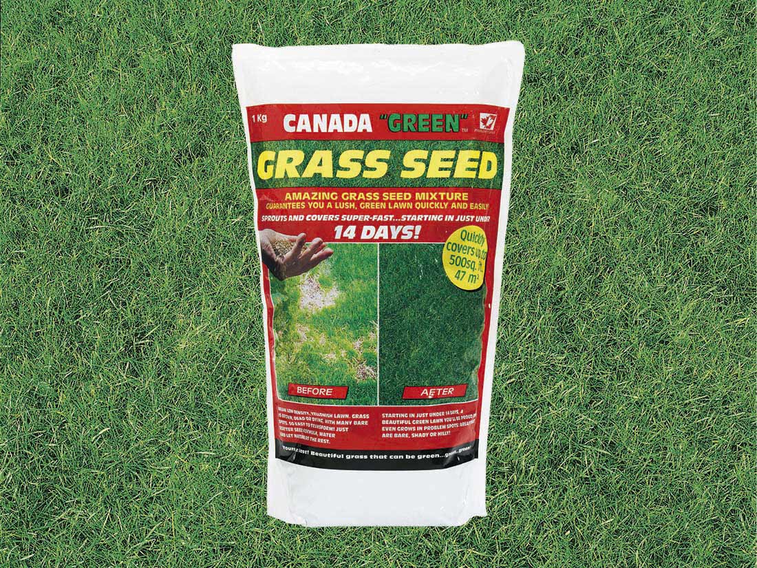 1kg Canada Green Grass Seed
